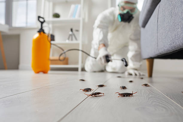 Commercial Rodent Management in Saybrook-on-the-Lake